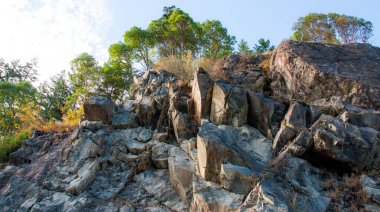 Kayalık bir uçurumun üstünde belgili tanımlık tepe ağaçları ile arama