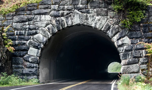 Road going through rocky tunnel with green overgrowth Stock Picture