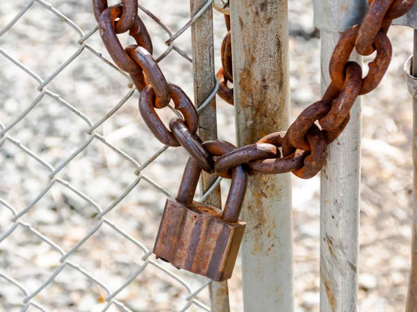Old rusty heavy duty pad lock and chain on a fence — Stock Photo, Image