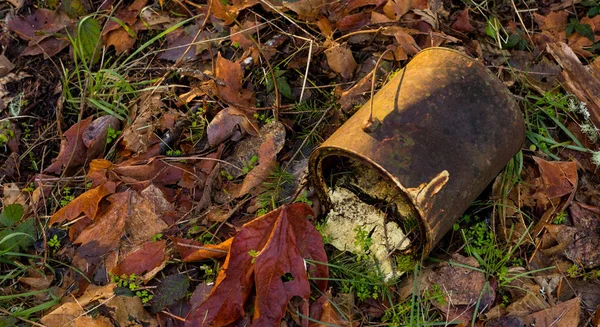 Старая ржавая банка краски, лежащая на лесной подстилке в окружении листьев — стоковое фото