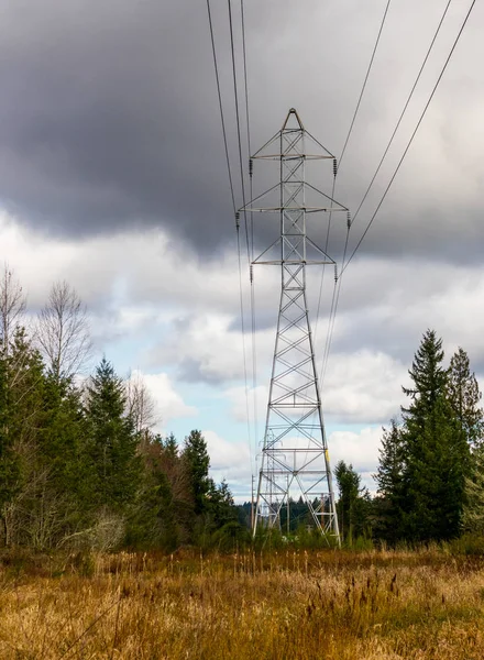 Torres de linha de energia cortando as árvores em uma floresta com nuvens escuras — Fotografia de Stock