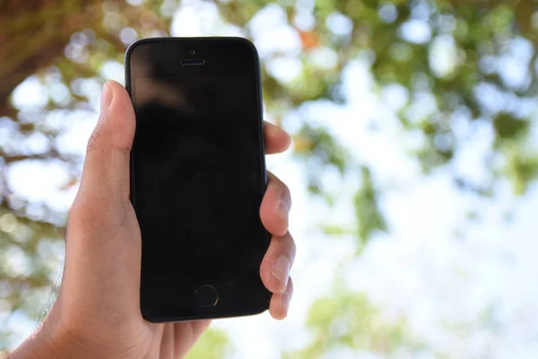 Mano Sosteniendo Teléfono Inteligente Contra Árbol Cielo Fondo — Foto de Stock