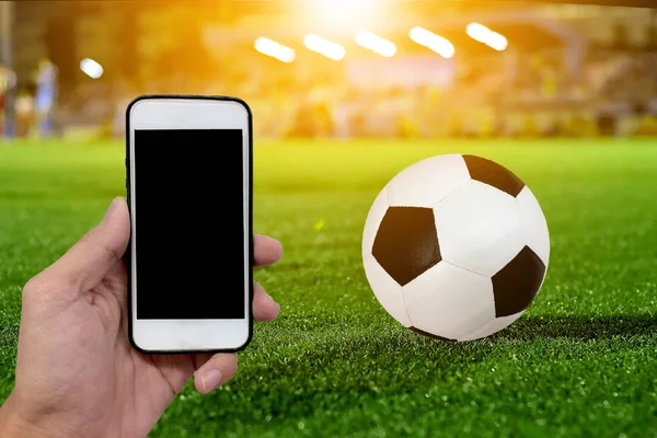 Futbol futbolda var. Saha yarış için ve sahada bir ışık var, futbol sahası, futbol stadyumu.