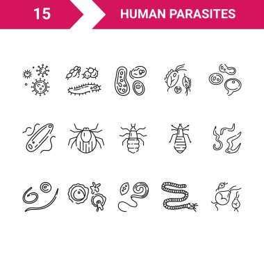 Human parasites. Set of vector linear icons. clipart