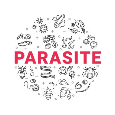 Human parasites. Set of vector linear icons. clipart