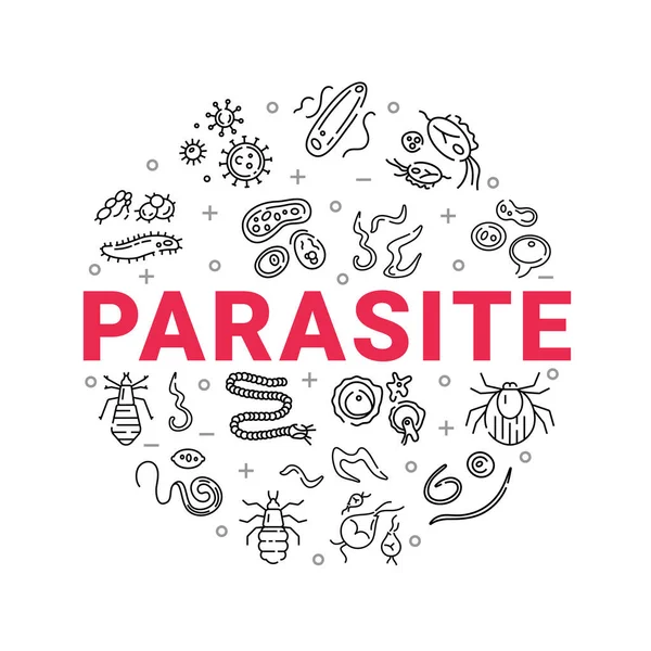 Human parasites. Set of vector linear icons. — Stock Vector