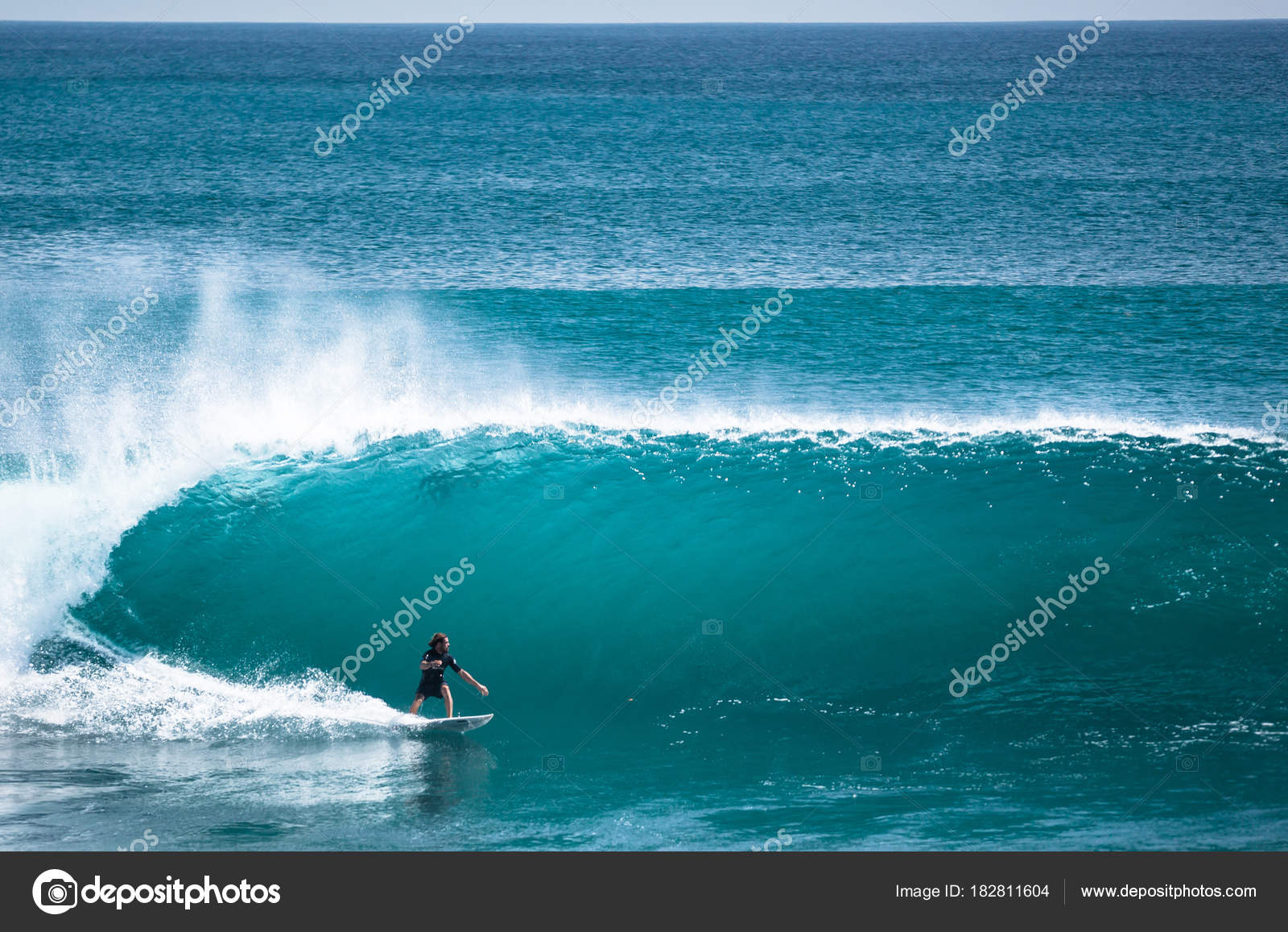 Big wave longboard online