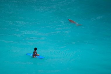 Kristal açık yeşil su deniz ineği Uluwatu Beach, Bali, Endonezya bakarak sörf tahtası üzerinde oturan afro saç modeli ile sörfçü kız. Deniz yaşamı, minimalizm, kopya alanı
