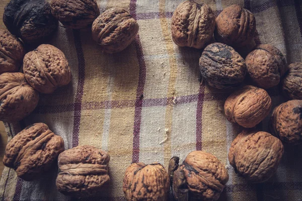 Whole raw walnurs — Stock Photo, Image