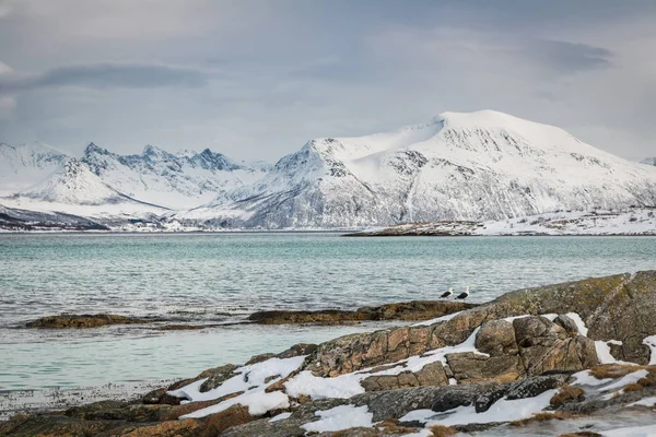 Noruega Montanhas no inverno — Fotografia de Stock