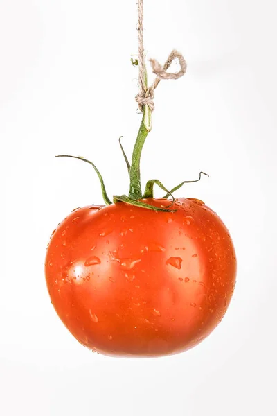 Tomate único no branco — Fotografia de Stock