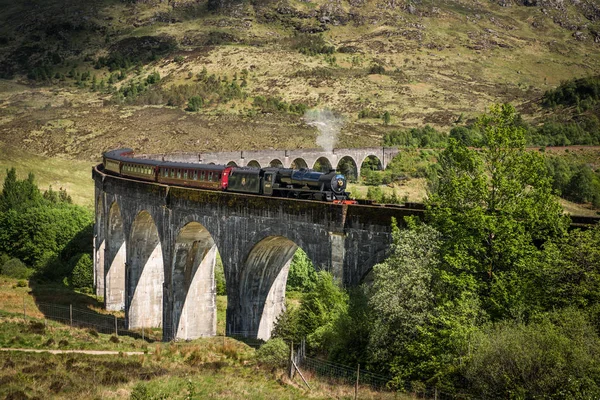 Manzaraya Glenfinnan Viyadüğü