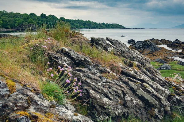 Yalı Armadale yakınındaki
