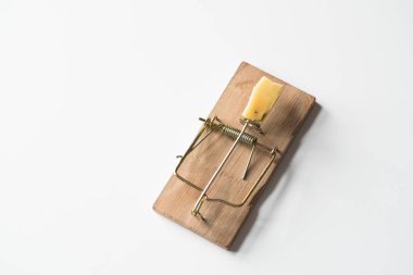 Beyaz üzerine fare kapanı