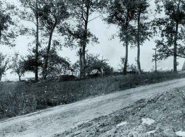 Küçük toprak yol ağaçları ile görünümünü tarafında
