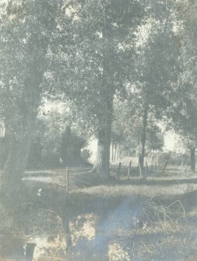 Avenue ve küçük dere dar yol görünümünü