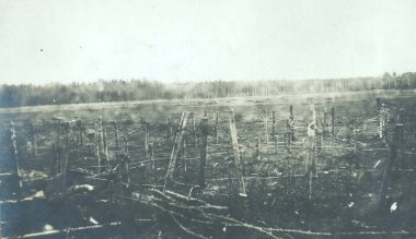 Barb tel engellerin ön planda görünümü