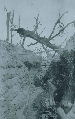 Boş yakalanan hendek çizgi görünümü