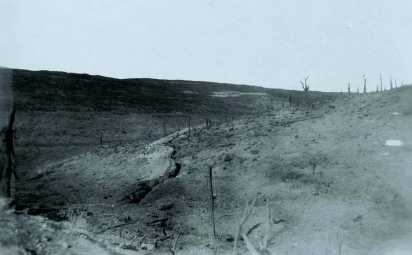 Artillerie Slagveld Gesneden Bomen Aanval — Stockfoto