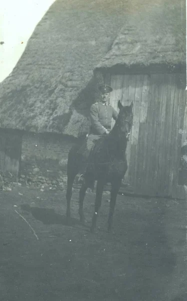 Oficial Alemão Cavalo Posando Câmera Frente Galpão — Fotografia de Stock