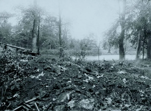 Göl çevresindeki bozuk zemin ile görünümünü 