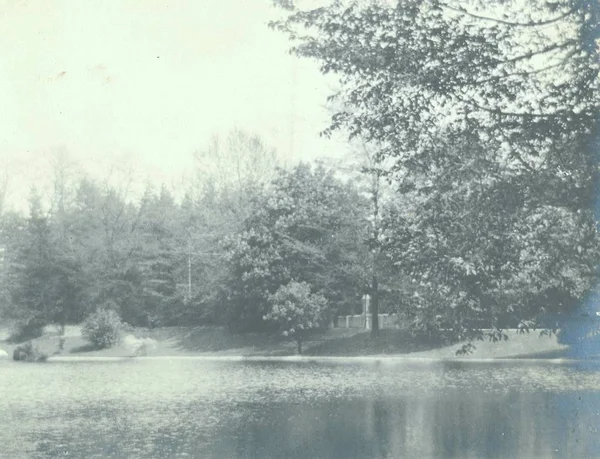 Park Nagy Területén — Stock Fotó