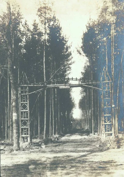 Ingresso Del Campo Posa Camuffato Nella Foresta — Foto Stock