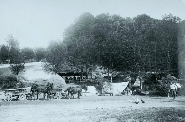 Deutsches Feldlager Nahe Gelegenen Wald Mit Zelten Und Pferdewagen — Stockfoto