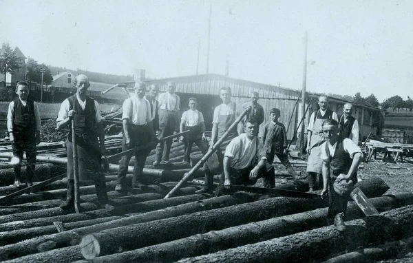 Civiele Werknemers Met Uitgesneden Bomen Voor Bedrijf — Stockfoto