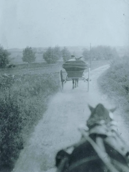 Německý Kůň Tažené Vozy Úzké Silnici — Stock fotografie