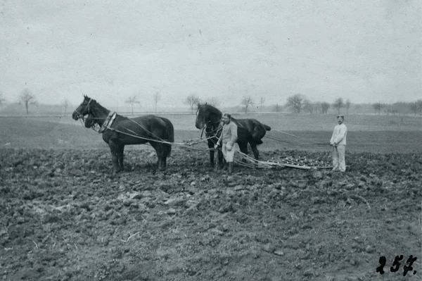 Duitse Soldaten Met Paarden Boer Tool Voorbereiding Van Akkerbouwgewassen — Stockfoto