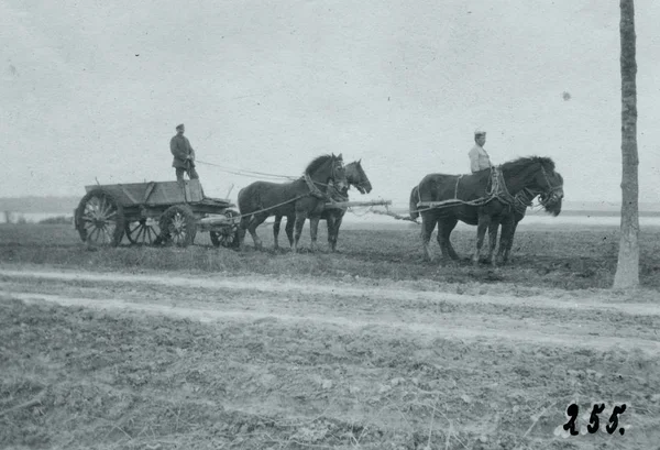 ドイツの兵士と 馬フィールドで描かれたワゴン — ストック写真