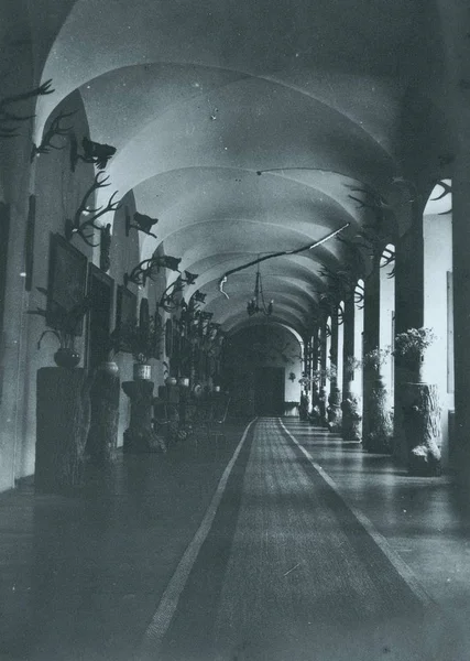 Villa çiçek ve geyik kupa ile büyük salonu görünümünü