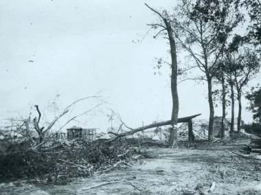 Ağaçlar top ateşi Köyü tarafından düzenlenen