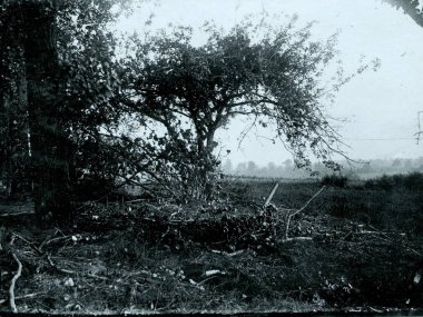 Ormanın yakınında kamufle harç mesaj