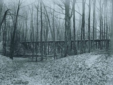 Kışın orman yoluyla ışık Köprüsü'nün görünümü