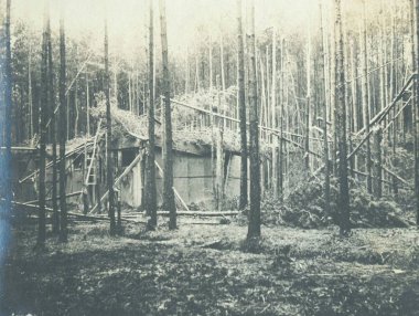 Ormanda saldırıdan sonra hasarlı tutuyor görünümünü