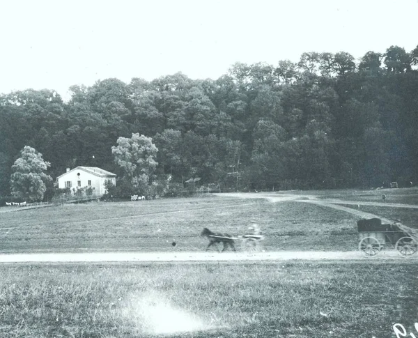 背景中有小别墅和森林的骑马马车 — 图库照片