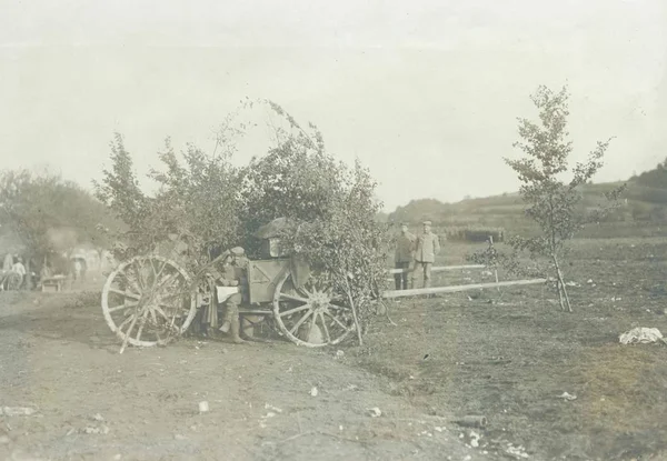 Waggon Met Gecamoufleerde Kanon Door Takken — Stockfoto