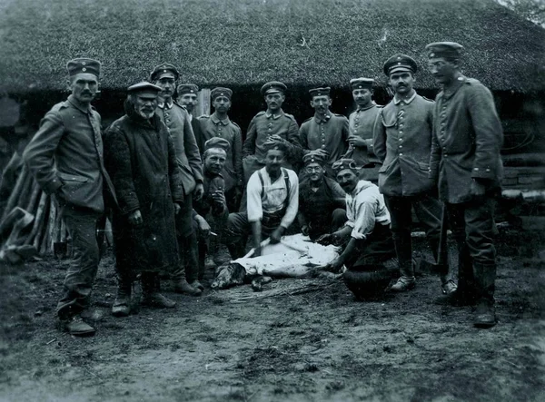 ドイツの兵士は地面に死んだ豚の農家の前でポーズ — ストック写真