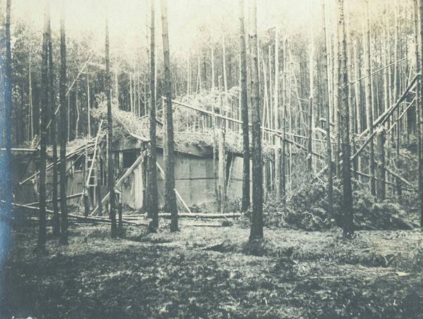 Вид поврежденных сараев после нападения в лесу
