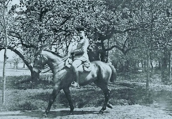 Tysk Officer Hästryggen Passerar Blossom Träd — Stockfoto