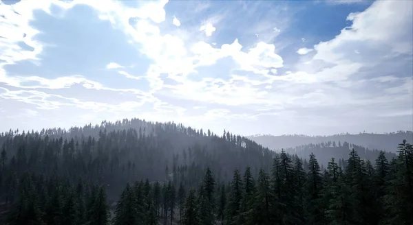 Vue Panoramique Forêt Tôt Matin Sous Ciel Nuageux — Photo