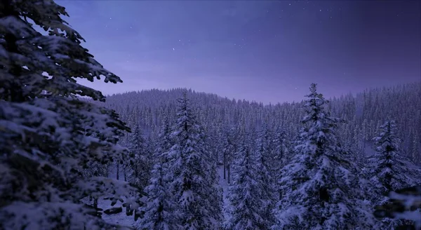 冬の雪紫の夕暮れで森林を覆われて — ストック写真