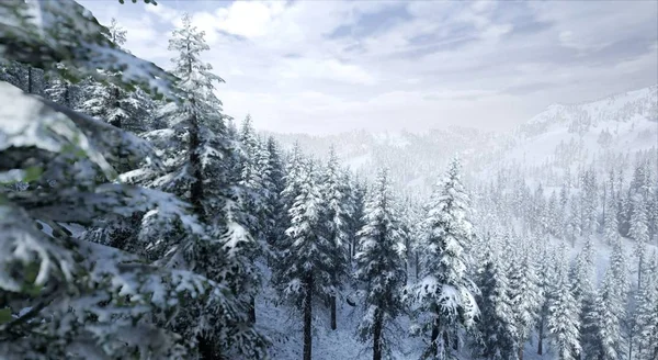 Вид Зимнего Заснеженного Леса Облачный День — стоковое фото