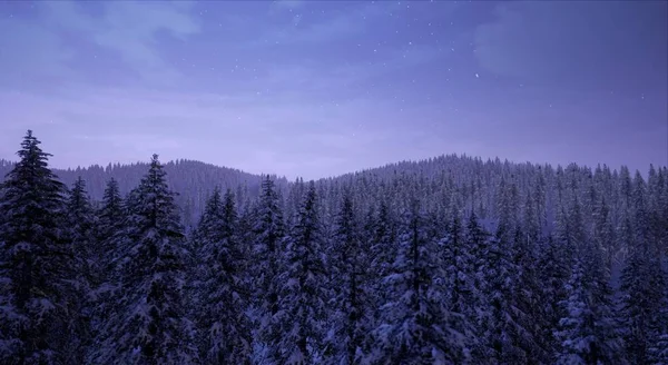 Inverno Floresta Coberta Neve Crepúsculo Violeta — Fotografia de Stock