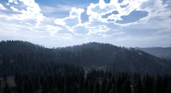 Сценический Вид Лес Ранним Утром Облачным Небом — стоковое фото