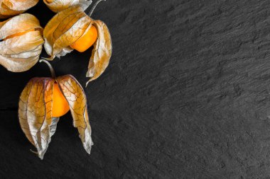 Cape bektaşi siyah kabukları ile yüzey kaya