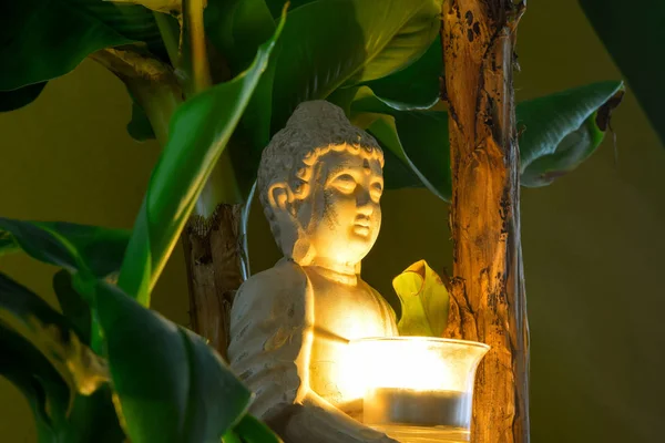 Buda sentado rodeado de árboles de plátano —  Fotos de Stock