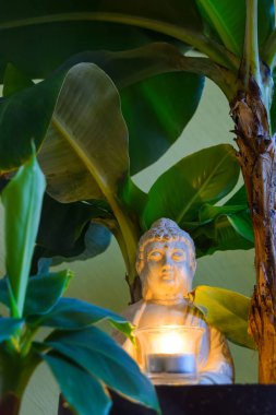 Muz ağaçlarıyla çevrili Buda oturan